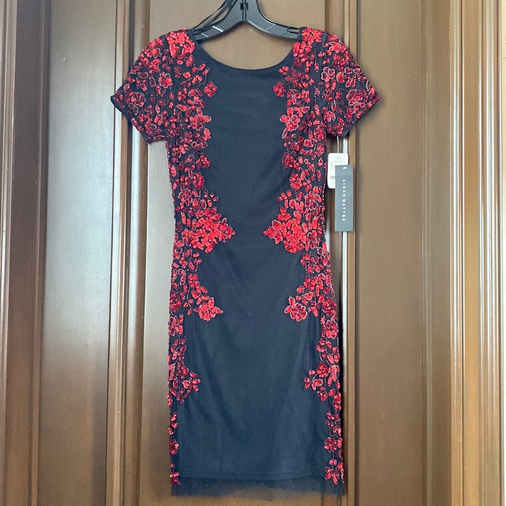 Cocktail dress- Aidan Mattox